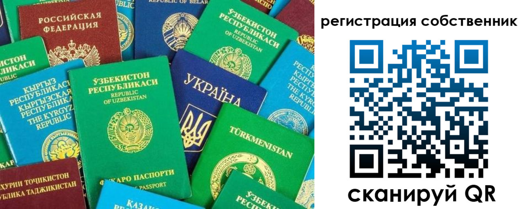 прописка в Звенигово