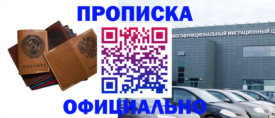 прописка в квартире в Звенигово