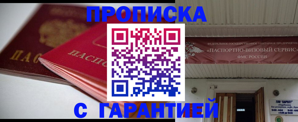 прописка гарантия в Звенигово